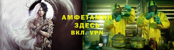 сатива Аркадак