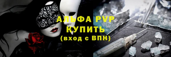 сатива Аркадак