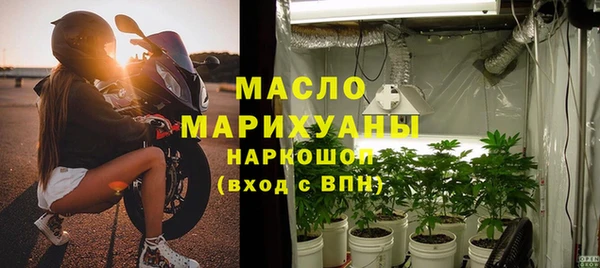 сатива Аркадак