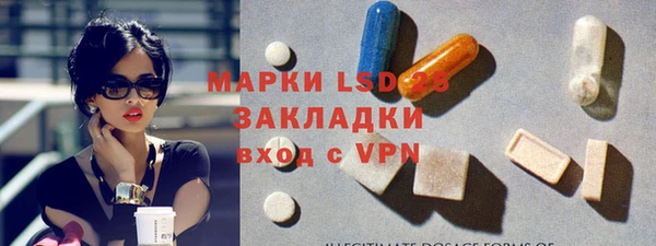сатива Аркадак