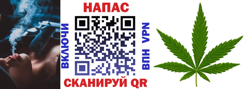 Конопля VHQ  блэк спрут маркетплейс  Ступино  купить закладку 